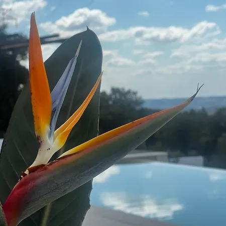 Casa Anjema, New Boutique With Infinity Pool *